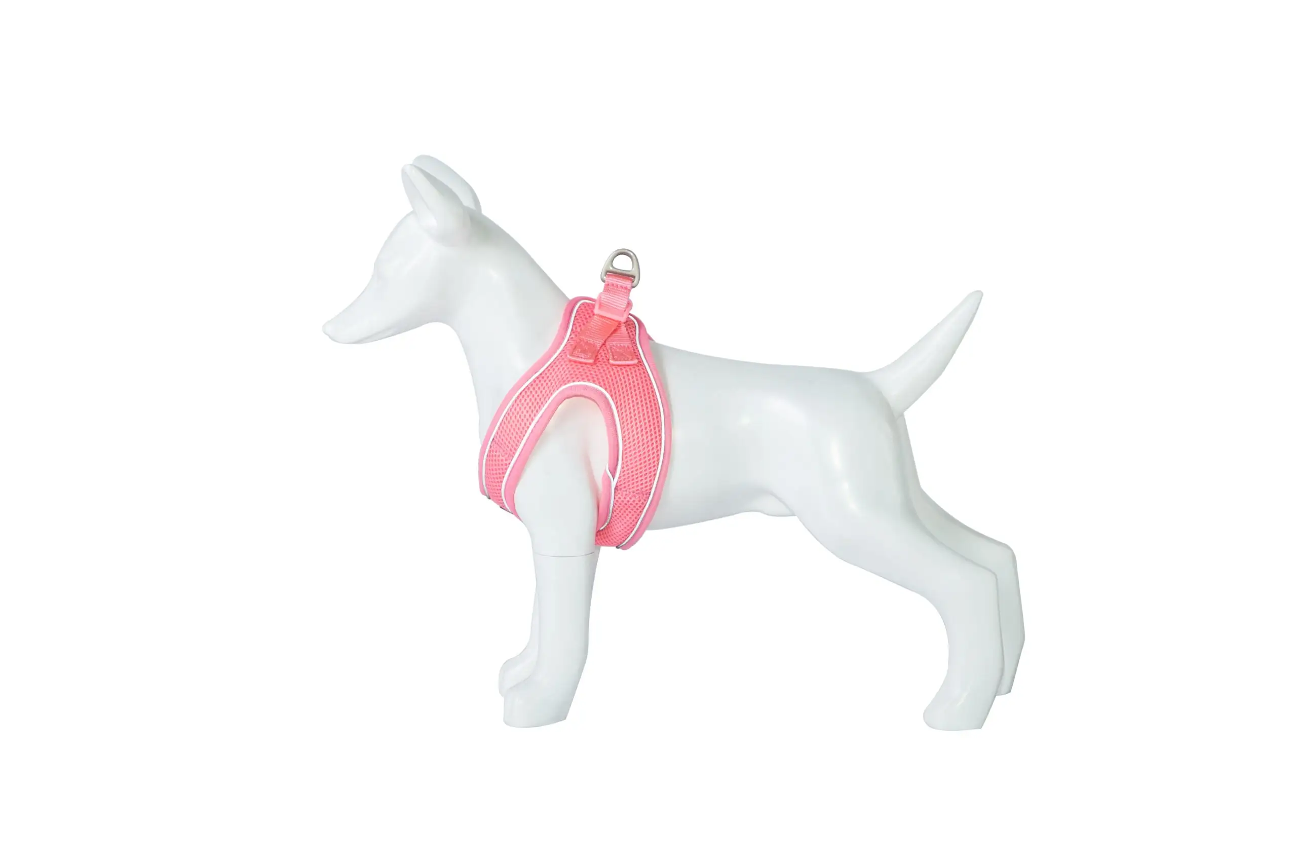 Arnes SOFT - Imagen 3