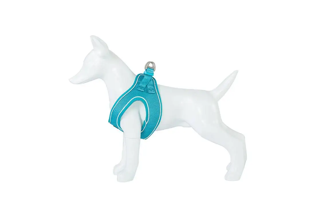 Arnes SOFT - Imagen 4