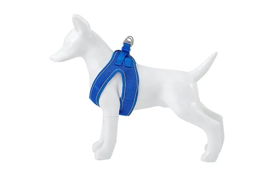 Arnes SOFT - Imagen 6