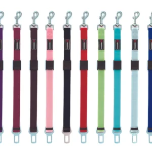 Cinturón de seguridad