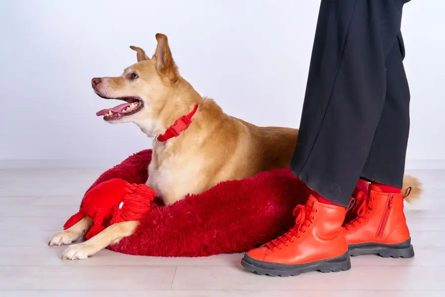 Donut antiestrés - Imagen 2