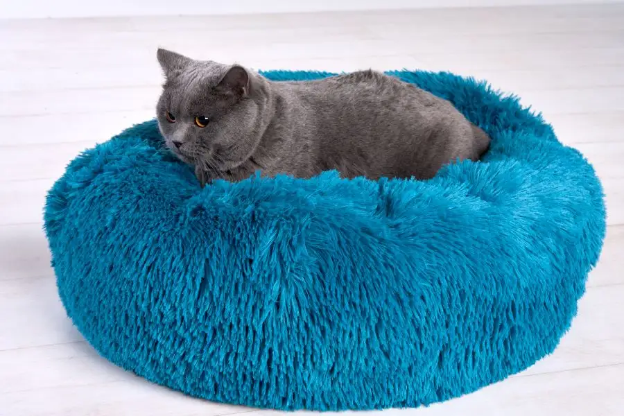 Donut antiestrés - Imagen 3