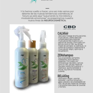 CAJA 6 UD ZEN SHAMPOO 200ML