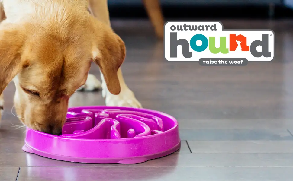 Comedero Outward Hound Fun Feeder Slo Bowl - Imagen 11