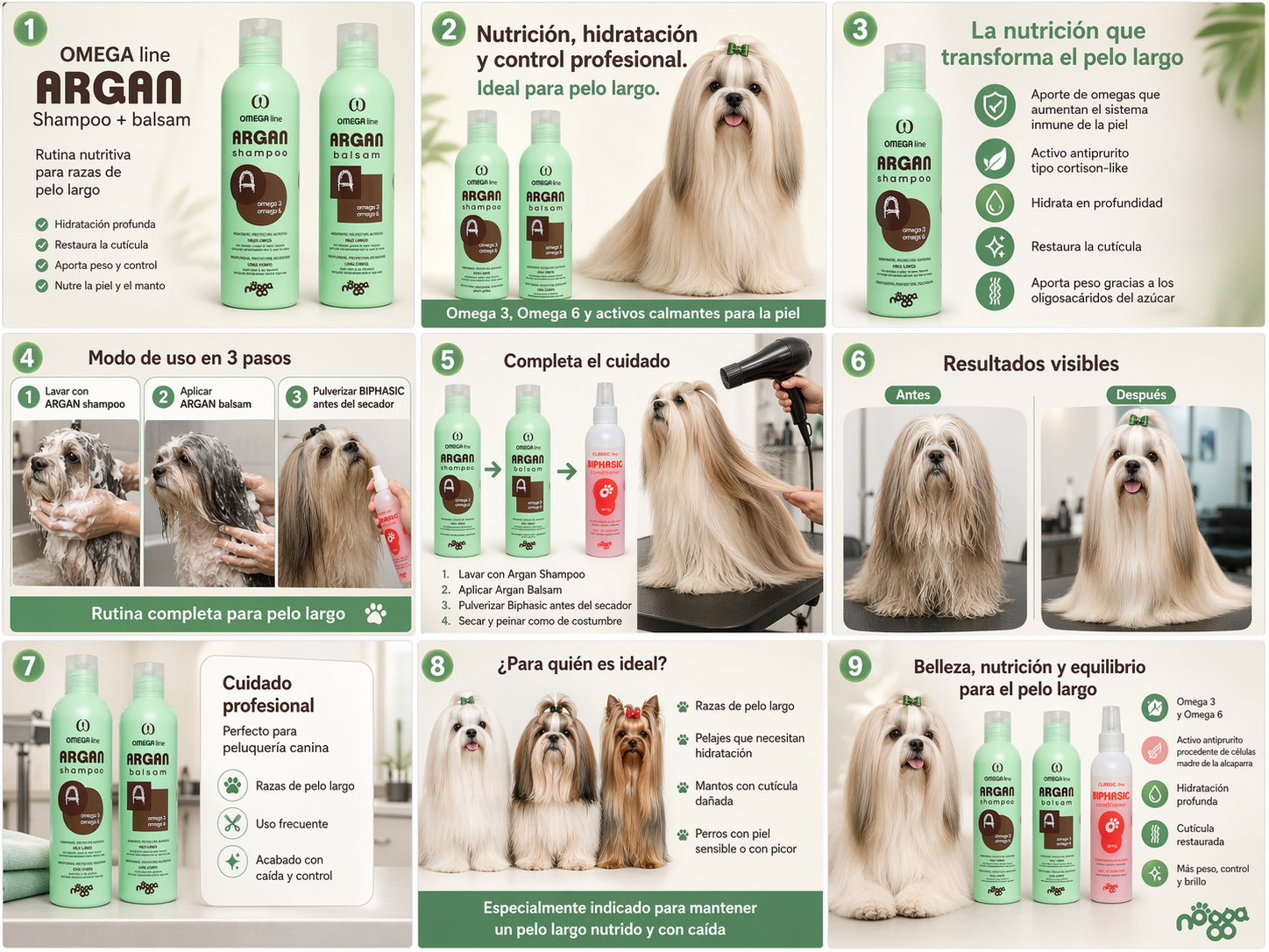 Infografías en español